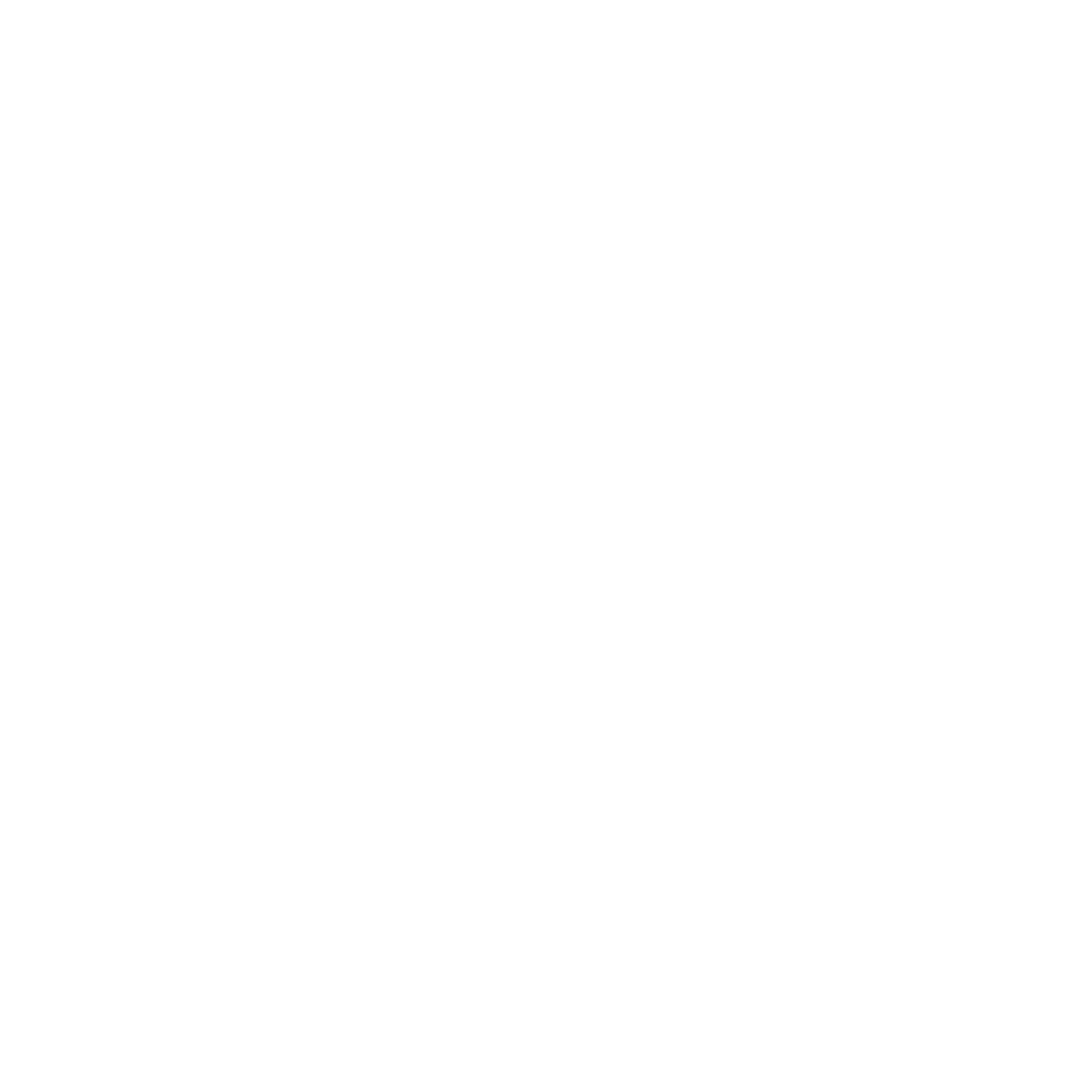 Amelia Plaza Logo